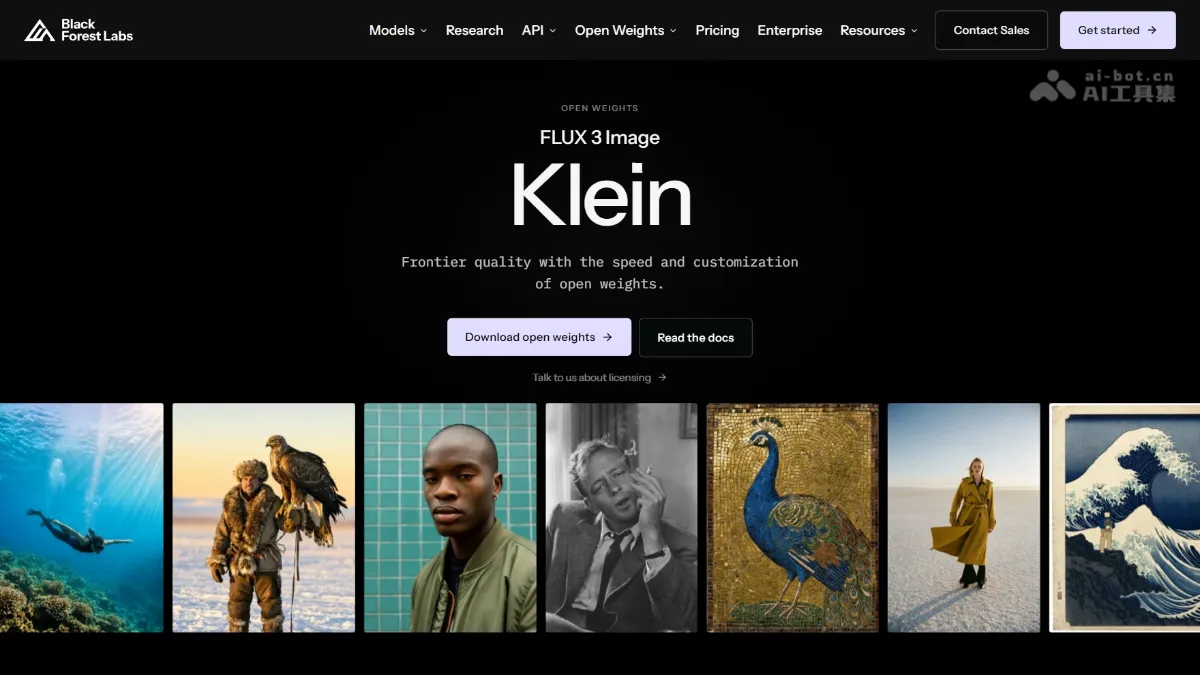 FLUX 3 Image Klein Black Forest Labs 开源的AI图像模型