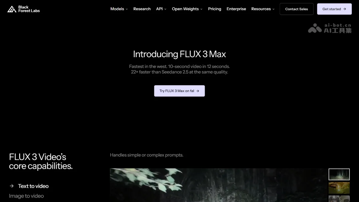 FLUX 3 Max fal 与 Black Forest Labs 推出的视频生成模型