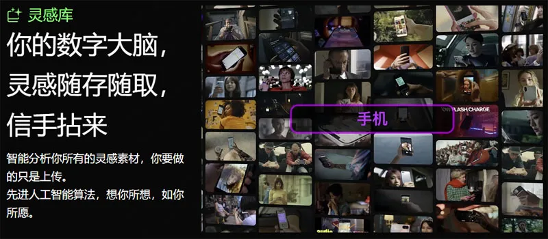 知作 截图
