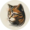 Tabby 截图
