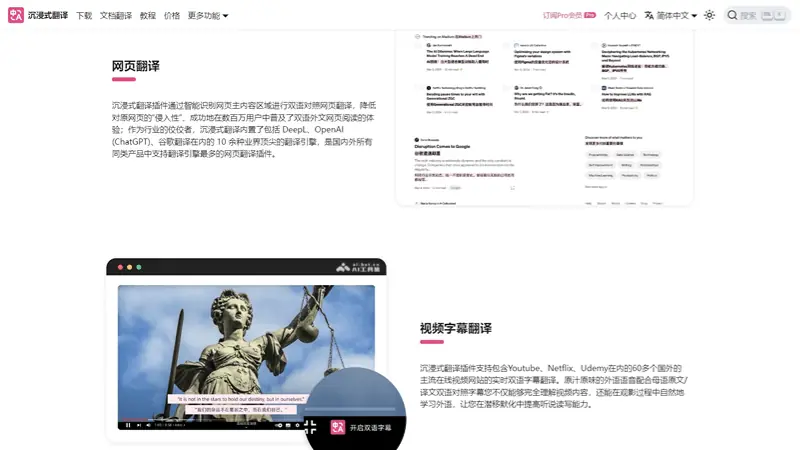 沉浸式翻译 截图
