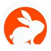 CodeRabbit 截图