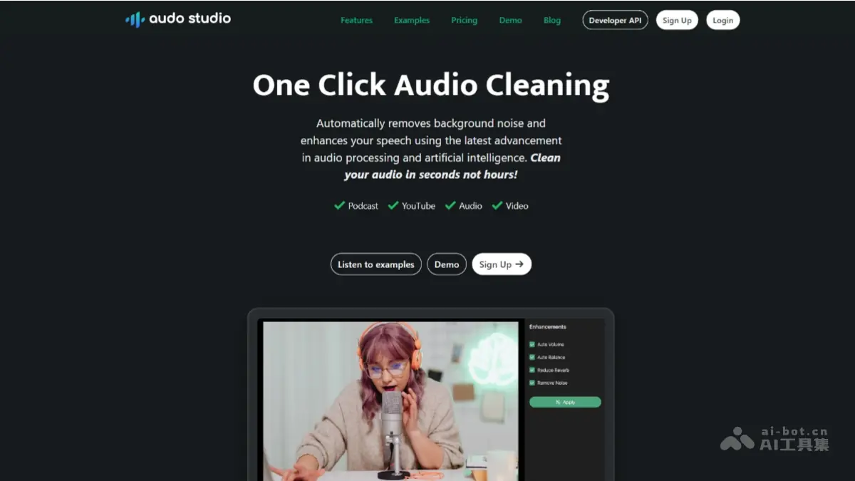 Audo 截图